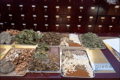 Chinatown Walk (Ken Gosbell ©)