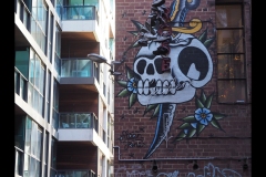 City Laneways (Paul Palcsek ©)