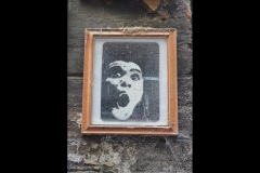 City Laneways (Paul Palcsek ©)