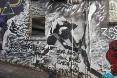 City Laneways (Jill Edwards ©)