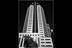 Converging Lines (Bob Clothier ©)