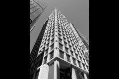 Converging Lines (Jim O'Donnell ©)