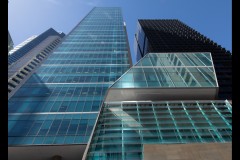 Converging Lines (Michelle Brasington ©)