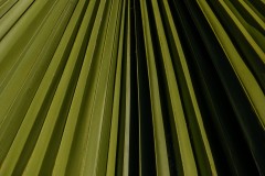 Converging Lines (Robert Fairweather ©)