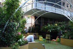 Converging Lines (Sony Varma ©)