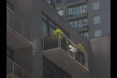 Converging Lines (Paul Palcsek ©)