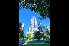 Converging Lines (Greg Earl ©)