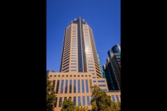 Converging Lines (Rob Lewis ©)