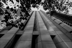 Converging Lines (Michael Brown ©)