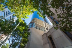 Converging Lines (Michael Brown ©)