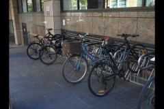 Converging Lines (Paul Palcsek ©)