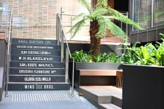 Converging Lines (Sony Varma ©)