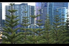Docklands Walk (Terry Noske ©)