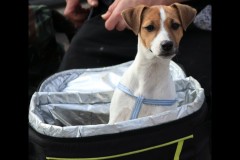 Docklands Walk (Sara Wigney ©)