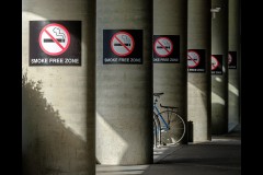 Docklands Walk (Bob Clothier ©)