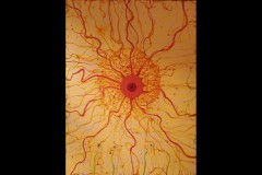 King Sun by John Olsen - Docklands Walk (David Marriott ©)