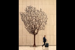 Branching Out - Docklands Walk (Marg Huxtable ©)