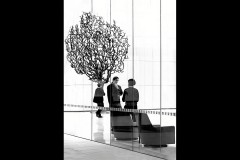 Docklands Walk (Carolyn Brandt ©)