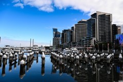 Docklands Walk (Sony Varma ©)
