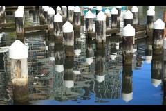 Docklands Walk (Terry Noske ©)