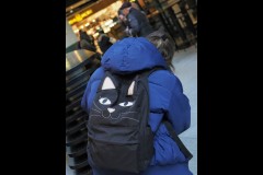 Docklands Walk (Paul Palcsek ©)