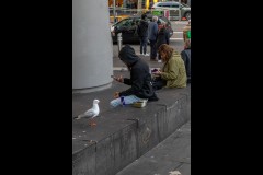Docklands Walk (David Davidson ©)