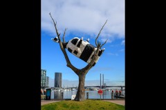 Docklands Walk (Greg Earl ©)