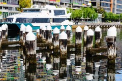 Docklands Walk (Peter Stuchbery ©)