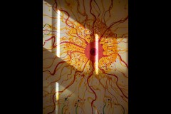 Bright Eye (King Sun by John Olsen) - Docklands Walk (Marg Huxtable ©)