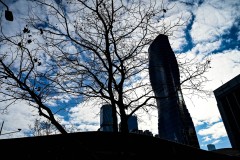 Docklands Walk (Sony Varma ©)