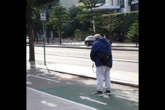 Docklands Walk (Sara Wigney ©)