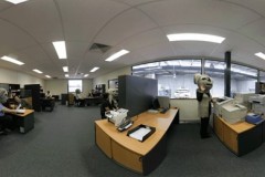 Composite-panorama-Koalas