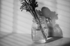 After-Sudek-2