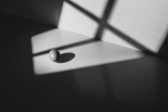 DSC_3225-Edit