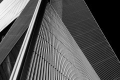 L1010081-Edit