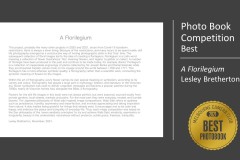 010.EoY21.Awards.Slide010