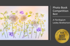011.EoY21.Awards.Slide011