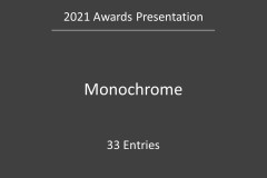 046.EoY21.Awards.Slide046