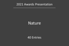 051.EoY21.Awards.Slide051