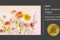 067.EoY21.Awards.Slide067