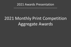 083.EoY21.Awards.Slide083