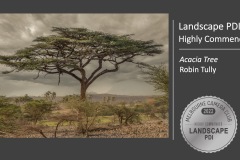 Slide11
