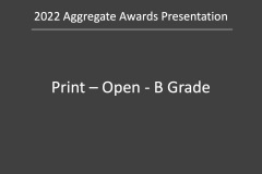 Slide112