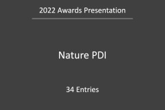 Slide20