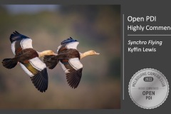 Slide29