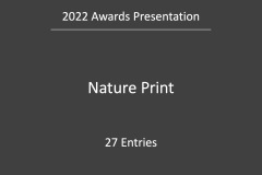 Slide65