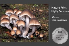 Slide66