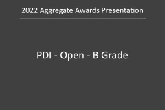 Slide95