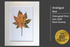MCC-EoY2020.Slide015