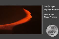 MCC-EoY2020.Slide030